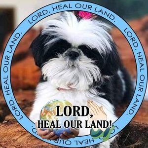 Meet your Posher, Doris